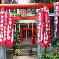 「青くても　有るべきものを　唐辛子」。芭蕉の俳句が物語る？　江戸とうがらし文化の歴史（４）