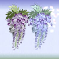 コスモスと　藤の花　紫陽花