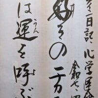 陽のチカラ