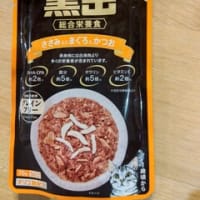 早朝ミャーミャー地獄！【ニャンコのご飯はマルハニチロ】（2025/6/27）