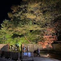 南湖公園翠楽苑。