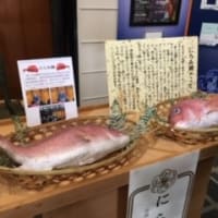 文楽　夕霧大夫