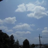関東の梅雨明けは秒読み？ （￣。￣）台風3号に…　ちいかわのむちゃうまシュークリーム買ってみた♪