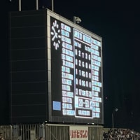 リポビタンＤチャレンジカップ2025 JAPAN XV vs マオリ・オールブラックス