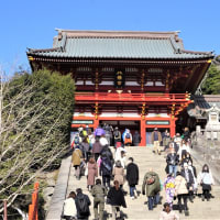 傘寿祝（８０歳）記念として