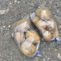 ポテトサラダ（１）