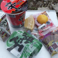 レンタカーで竜王山へ登山