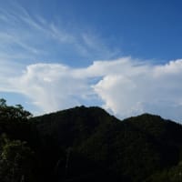 雨が欲しいと思えば思うほど・・・・！！