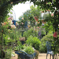 Open garden friends