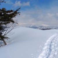 ちゃんと、向き合うということ。