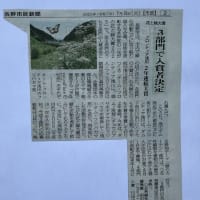 浅川ダム上流フジバカマ苑の草刈り、ながの花と緑の大賞2025受賞、お月様