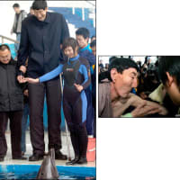世界一長身の男性がイルカを救う (BBC)
