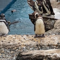 水族館