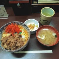 丼（松屋／てんや／たつ屋）（2025年7月）