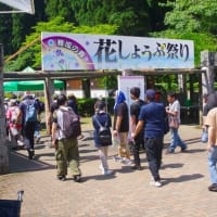 「第４０回花しょうぶ祭り」閉幕