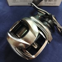 Zillion sv TW1000L