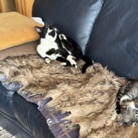 ユニクロデビューだって！