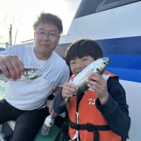 ５月 ９日 (金) 🎊黄金アジ５３匹❗良型多数🎵明日からも面白そうですww😊✨