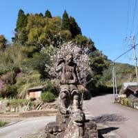 桜を背負う仁王像　いちき串木野市　冠嶽神社