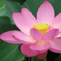 ６月　１１日
