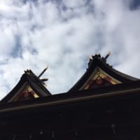 2016年始まりましたね