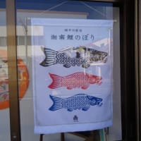 大磯　旧東海道沿いにあった鯉幟のお店と鯉のぼり　