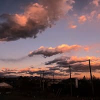 （続）定点撮影　一月の雲