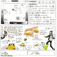 15お盆休み 石垣島 西表島 お絵描きダイビングログブック ３ 旅カナ Blog