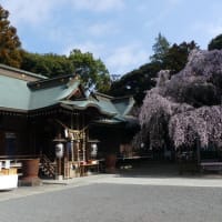 水戸の花と史跡等(5)