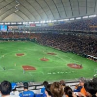 東京ドーム野球観戦
