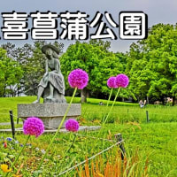 久喜菖蒲公園　椅子持参でランチタイム