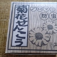 蚊取り線香