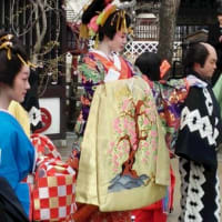 いらっしゃいまし