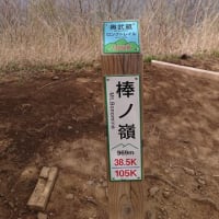 棒の峰登山（埼玉県　飯能市）はとてもオススメ！