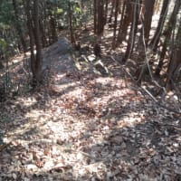 稲沢ハイキングコース