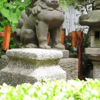 駒止稲荷神社の狛犬