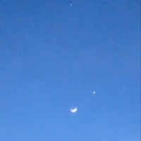 2023年2月22日 細い月と金星が接近＜Pixel4a＞