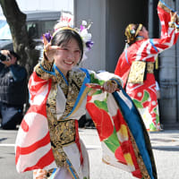 松山よさこい風舞人-13　 2024年  第71回  よさこい祭り   梅ノ辻競演場  本番１日目