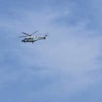 バラの山口宇部空港