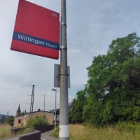 ザールのワイン地帯巡りとトリアー市内の観光をしました。