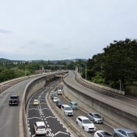 仙台をお散歩
