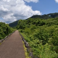 飛騨川河川公園を歩く