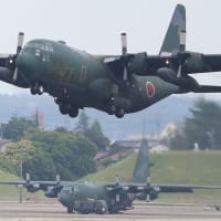 【M-5撮影特報】小牧基地日常風景,40周年の自衛隊ハーキュリーズ(2024-05-23)