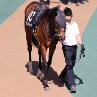 春競馬１４