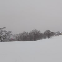 スキー行　悪いほうに予報があたった野沢温泉スキー場