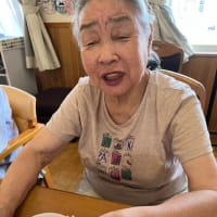 餃子の皮でピザ作り(^^♪