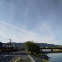物を捨てます