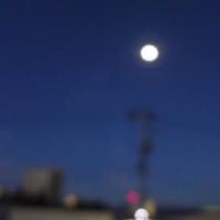 貴方の幸せを