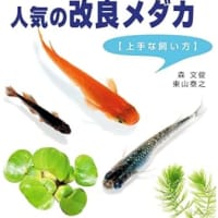 人気の改良メダカ　　　森 文俊＆東山泰之　　2021/9
