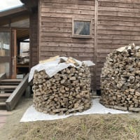 木◯家の挑戦🍞